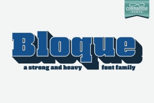 Bloque Family: A Heavy Slab Typeface for Bold Editorial Design