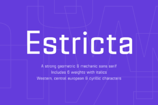 Estricta Family: A Geometric Sans Serif for Modern Editorial Design