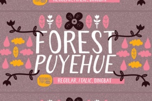 Forest Puyehue: A Handmade Sans Serif for Digital Branding