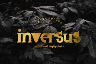 Inversus: The Slab Serif Font That Elevates Small Business Branding