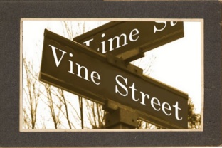 Vine Street: A Classic Serif Font for Editorial Design